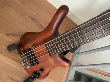 Warwick Thumb 5 bolt on, Musique & Instruments, Enlèvement, Utilisé, Électrique
