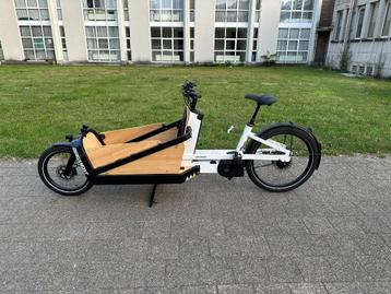 Vélo cargo Bergamont E-Cargoville LJ Elite