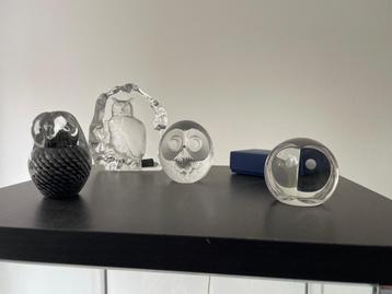 Uiltjes in glas beschikbaar voor biedingen