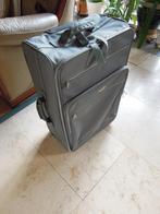 valise trolley marque : Rodelle softroller sur 2 roulettes g, 35 à 45 cm, Plastique souple, 60 à 70 cm, Enlèvement