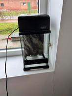 Exo terra terrarium met lichtkap 20x20x30, Dieren en Toebehoren, Ophalen, Gebruikt, Terrarium of Paludarium