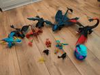 Speelgoed Drakenrijders, Kinderen en Baby's, Speelgoed | Playmobil, Ophalen of Verzenden, Zo goed als nieuw