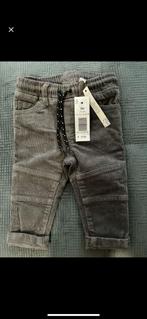Pantalon pozr garçon, Kinderen en Baby's, Babykleding | Maat 80, Ophalen of Verzenden, Nieuw, Jongetje, Broekje