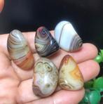 5 Prachtige agaat stenen uit Madagaskar (M2), Verzenden, Mineraal
