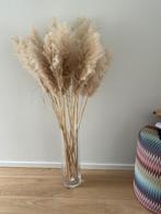 Pampas met vaas, Huis en Inrichting, Woonaccessoires | Droogbloemen, Ophalen, Nieuw