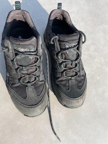 Wandel Schoenen - Ecco - maat 38 - zwart beschikbaar voor biedingen