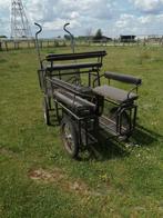 Koetsen, Dieren en Toebehoren, Rijtuigen en Koetsen