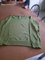 Licht groen heren pull maat L, Ophalen, Maat 52/54 (L), Groen