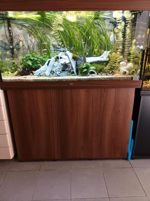 Juwel rio 300 met vissen en toebehoren, Dieren en Toebehoren, Vissen | Aquaria en Toebehoren, Ophalen
