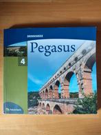 Pegasus 4 - bronnenboek, Ophalen of Verzenden, Zo goed als nieuw