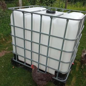 citerne d'eau de pluie de 1.000 litres, 150 litres ou plus, Enlèvement, Utilisé, Synthétique