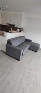 Hoekzetel grijs 2,5 jaar oud, Ophalen, Gebruikt