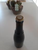 Westvleteren 12 - 2019 - 33 cl - 10.2%, Verzamelen, Ophalen, Nieuw, Flesje(s), Overige merken