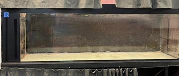 Deux grands aquariums 180 et 200 cm beschikbaar voor biedingen