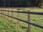 14. Houten omheining | paardenbak | paarden omheining, Weidegang, 4 paarden of pony's of meer