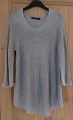 ISCHIKO silver sweater (M), Maat 38/40 (M), Ophalen of Verzenden, Zo goed als nieuw, Ischiko