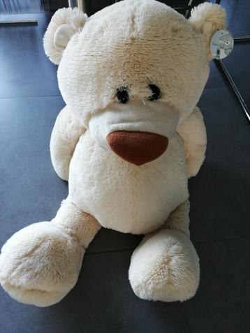 Crèmekleurige teddy beschikbaar voor biedingen