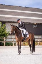 Mooie Lieve dressuur ruin, Dieren en Toebehoren, Gechipt, Ruin, Dressuurpaard, Zadelmak