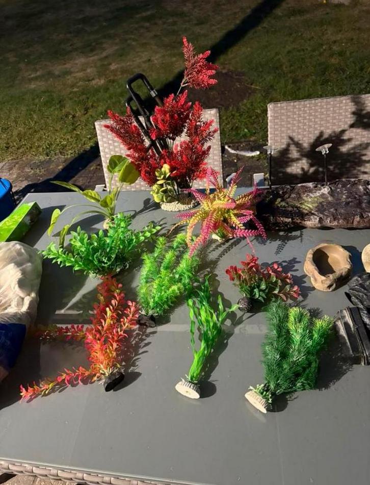 Toebehoren en decoratie voor aqarium, Dieren en Toebehoren, Vissen | Aquaria en Toebehoren, Gebruikt, Plant(en), Steen of Hout