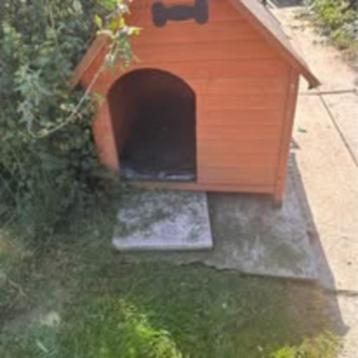 niche grand chien, Comme neuf, Enlèvement, Niche à chien, 75 à 110 cm