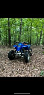 Yamaha blaster, Motoren, Ophalen