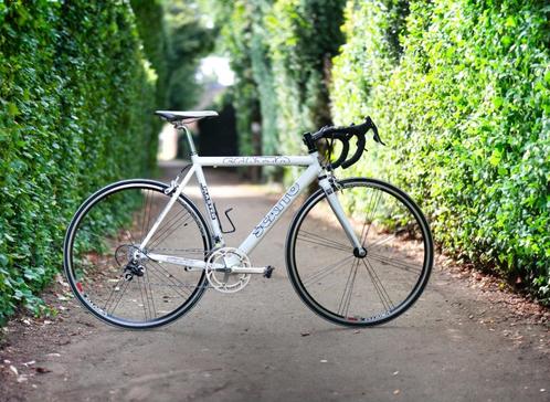 Racefiets Scatto Master Pro racing, Fietsen en Brommers, Fietsen | Racefietsen, Gebruikt, Heren, Overige merken, 10 tot 15 versnellingen