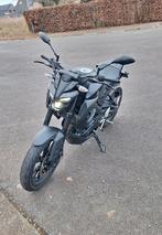 Yamaha MT125, Particulier, Naked bike, 125 cm³, Jusqu'à 11 kW