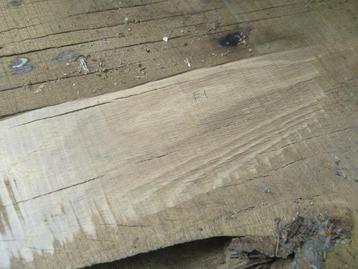 Eiken. Schaaldelen. 8st 5cm dik, 240cm. Boomplak. Boomstam beschikbaar voor biedingen