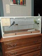 1 koppel Engelse grasparkieten met kweek kooi, Plusieurs animaux, Oiseau tropical