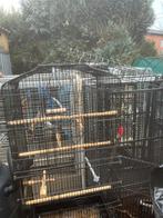 Cages pour oiseaux et perroquets, Enlèvement, Utilisé