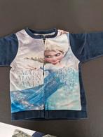 Cardigan frozen, Kinderen en Baby's, Babykleding | Maat 80, Ophalen of Verzenden, Zo goed als nieuw