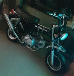 Dax 125cc in heel goede staat met 1400km!Bieden!, Ophalen of Verzenden, Zo goed als nieuw