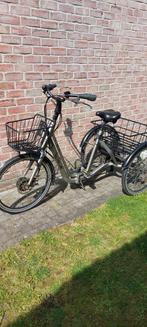 Driewielfiets elektrische, Ophalen of Verzenden