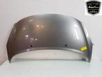 MOTORKAP Peugeot 207 CC (WB) (01-2007/01-2015) (|7901N2|), Gebruikt, Peugeot, Motorkap