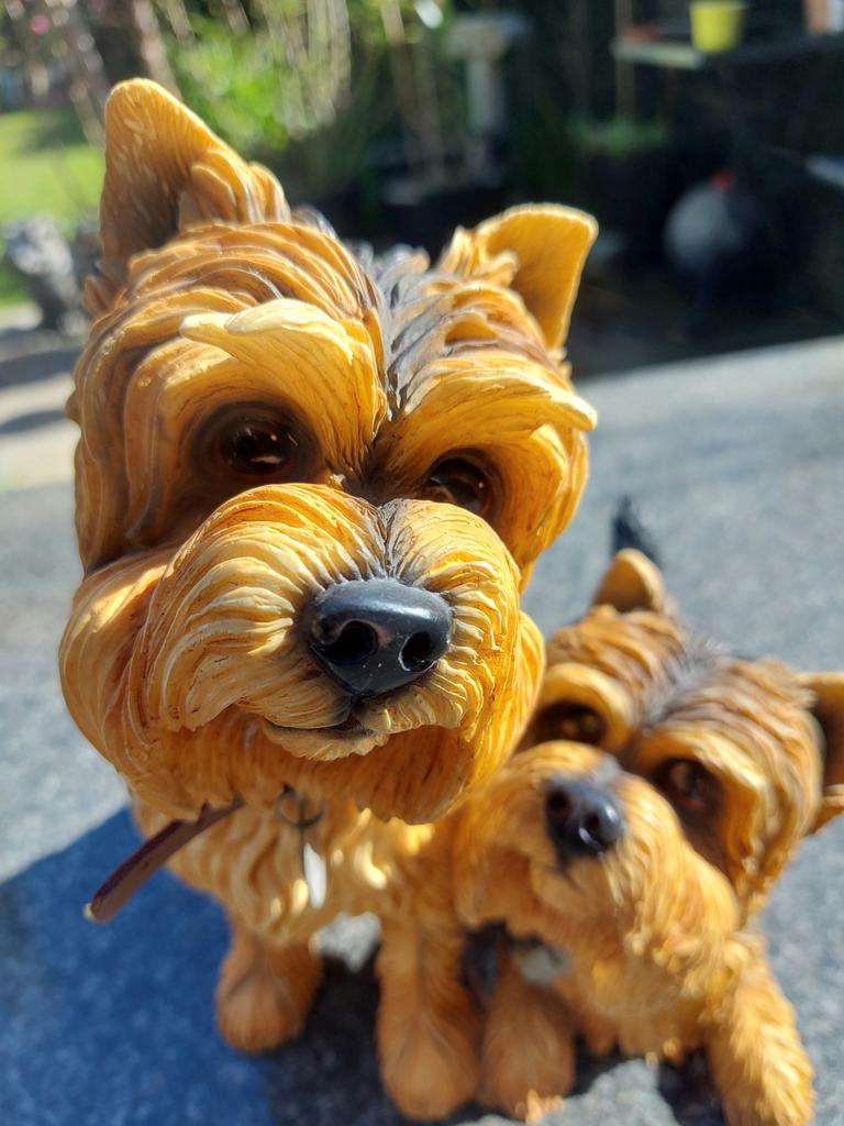 The Leonardo Collection, Ophalen, Zo goed als nieuw, Dier