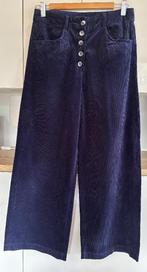 Broek blauw, velours 'Massimo Dutti' (maat: 40), Kleding | Dames, Maat 38/40 (M), Massimo Dutti, Blauw, Ophalen of Verzenden