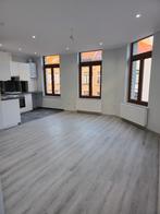 Appartement rénové de 3 chambres - près de la Gare du midi, 50 m² ou plus, Bruxelles