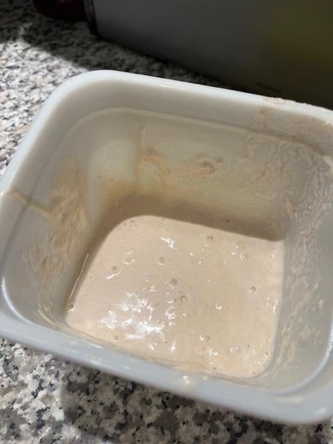 starter zuurdesem, Ophalen