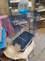 Cage oiseaux, Animaux & Accessoires, Enlèvement