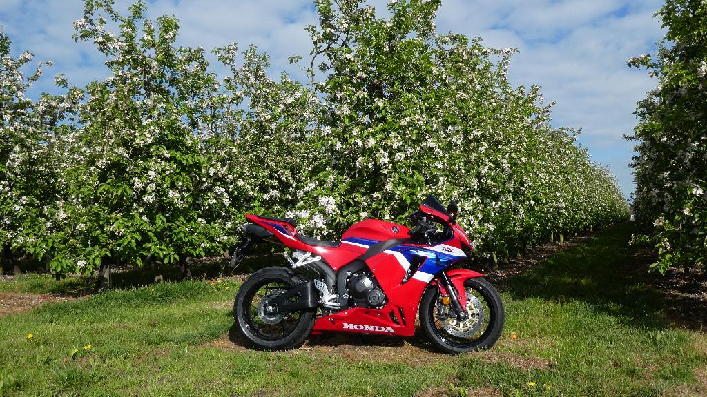 Honda CBR600RR 2025, Motoren, Motoren | Honda, Particulier, Super Sport, meer dan 35 kW, 4 cilinders, Motorrijbewijs A, ABS, LED Verlichting