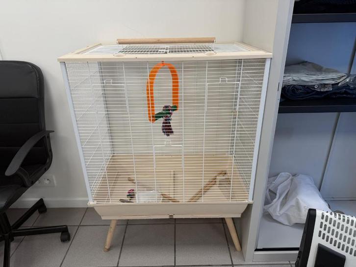 une cage à oiseaux, Collections, Collections Animaux, Comme neuf, Oiseaux, Enlèvement