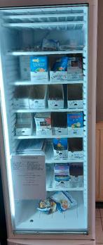 Congélateur vitrine, Elektronische apparatuur, Vriezers en Diepvrieskisten, Ophalen, Gebruikt, Tussenbouw, Vrieskast