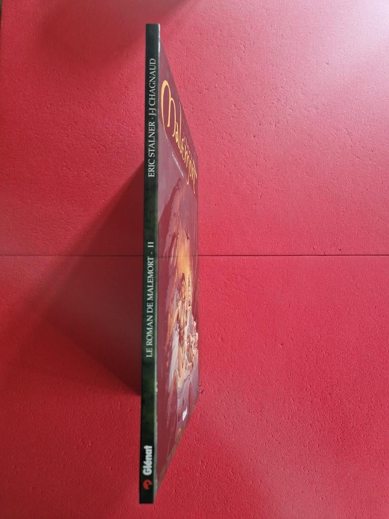 Bd le roman de malemort 2, Enlèvement ou Envoi