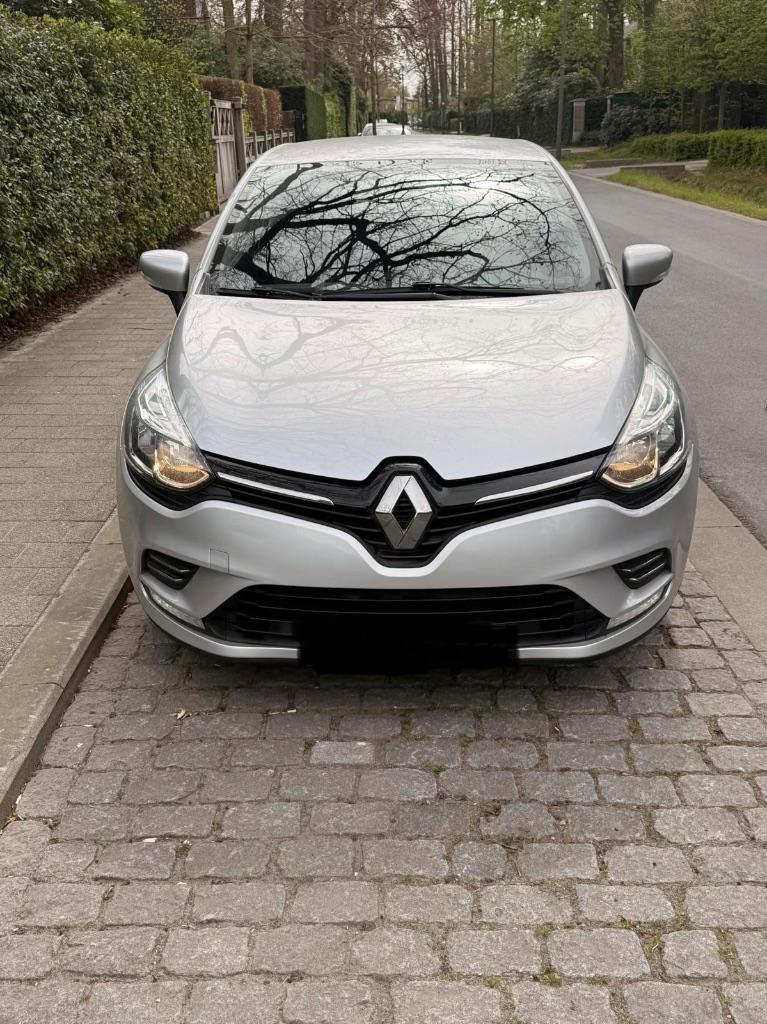 Clio, Autos, Renault, Argent ou Gris, Achat, Euro 6, Entreprise