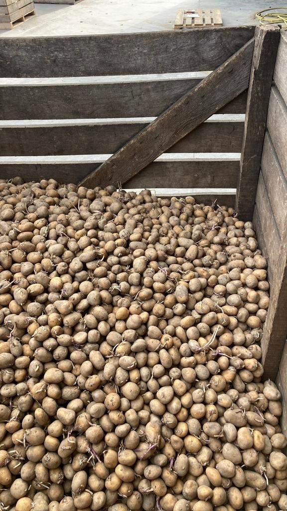 Pootgoed 250 kg BINTJE bel 0476266366, Ophalen