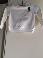 Pull crème sur le thème « Lapin de Pâques » JBC 92, Enlèvement ou Envoi