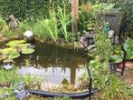 Vijver 2000l, Tuin en Terras, Ophalen, Gebruikt