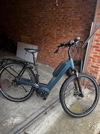 Speedpadelec + helm + (rug)zak + oplader + batterij, Fietsen en Brommers, Ophalen, Zo goed als nieuw, 30 tot 50 km per accu, Riese & Müller