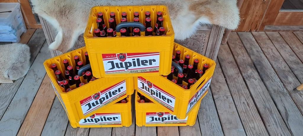 Jupiler 24x25cl 4 bakken, Collections, Marques de bière, Enlèvement, Neuf, Bouteille(s), Jupiler