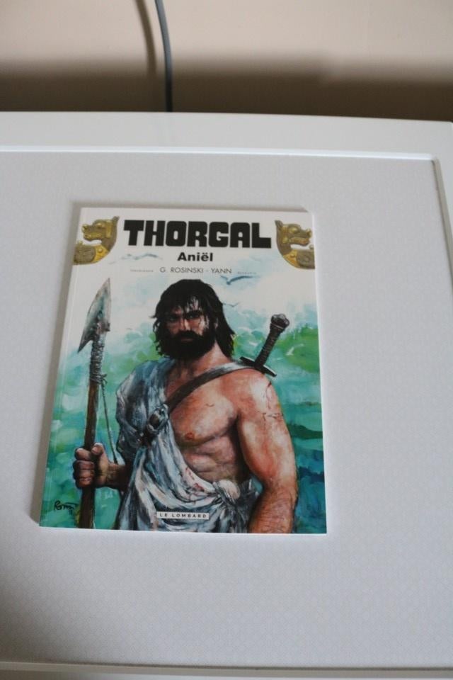 Thorgal Nr 36 : Aniel - sc - 1e druk 2018, Boeken, Eén stripboek, Ophalen of Verzenden, Nieuw